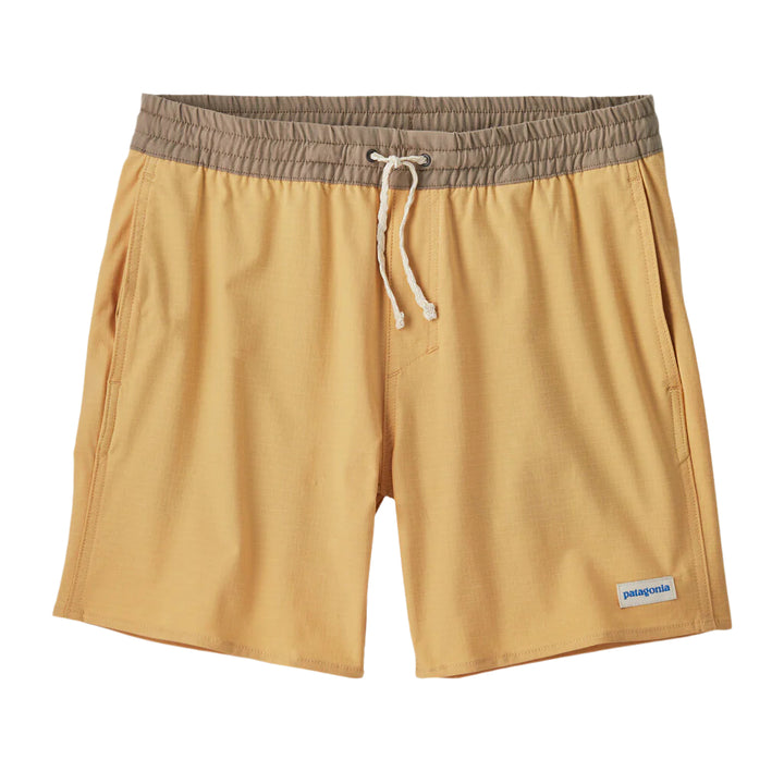 Home Waters Volley Shorts for Men - 16