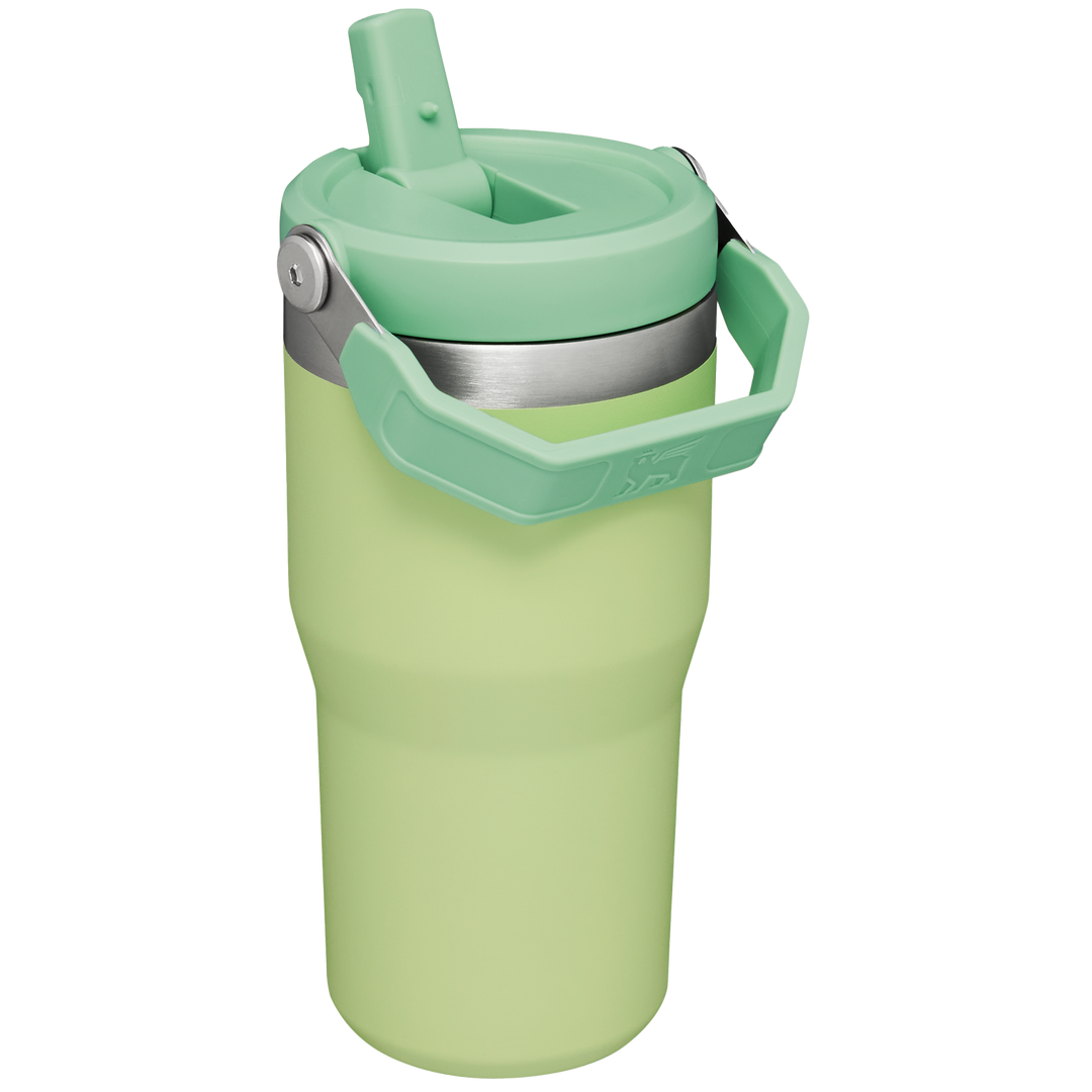 Aazon.co: Replaceent Tubler Lid For Stanley IceFlow 20 Oz 30 Oz...