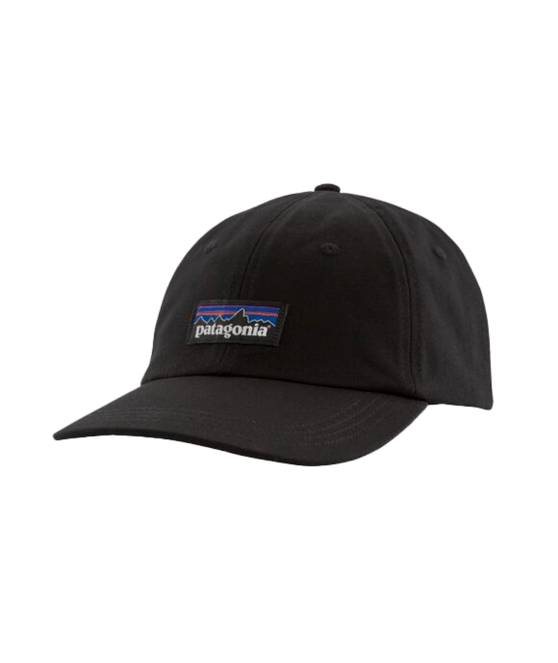 Patagonia P-6 Label Trad Cap – Half-Moon Outfitters