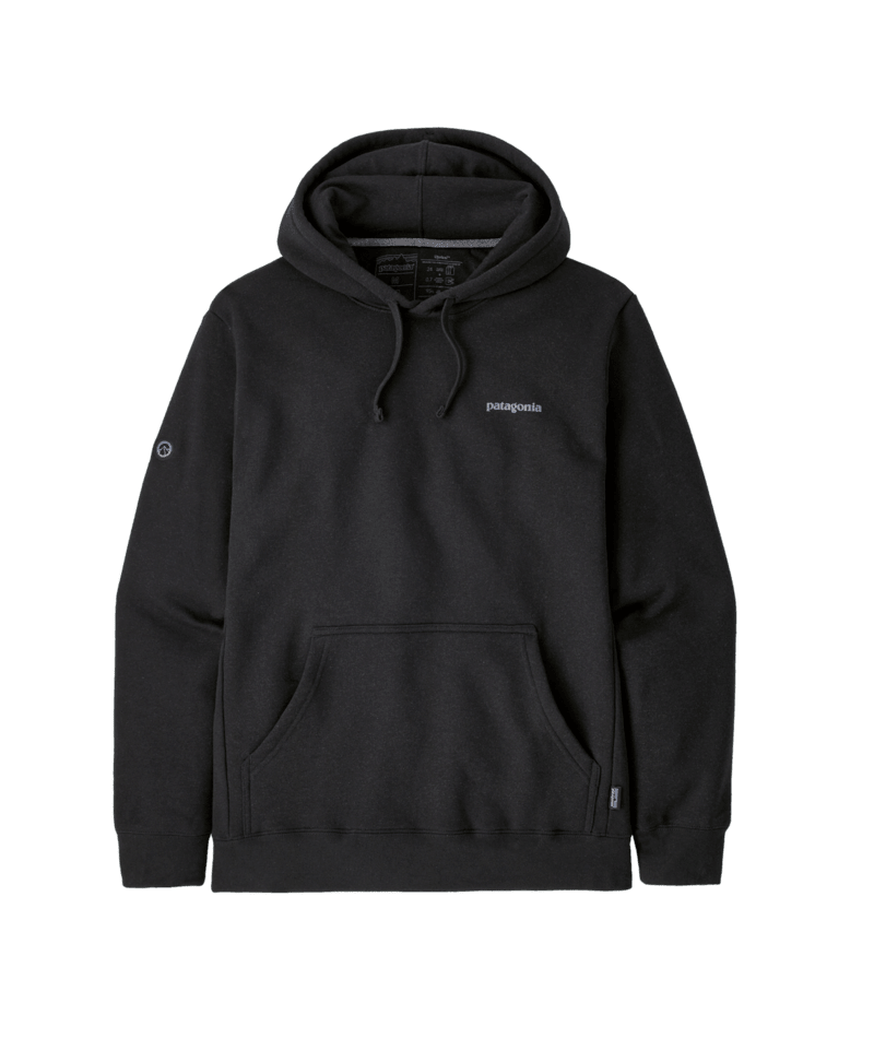 Mens patagonia hoodie on sale