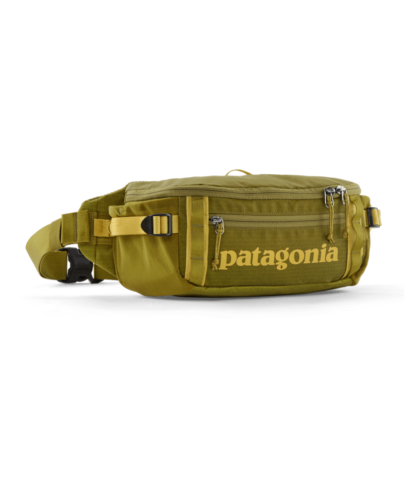 Patagonia Black Hole Waist Pack 5L – Half-Moon Outfitters