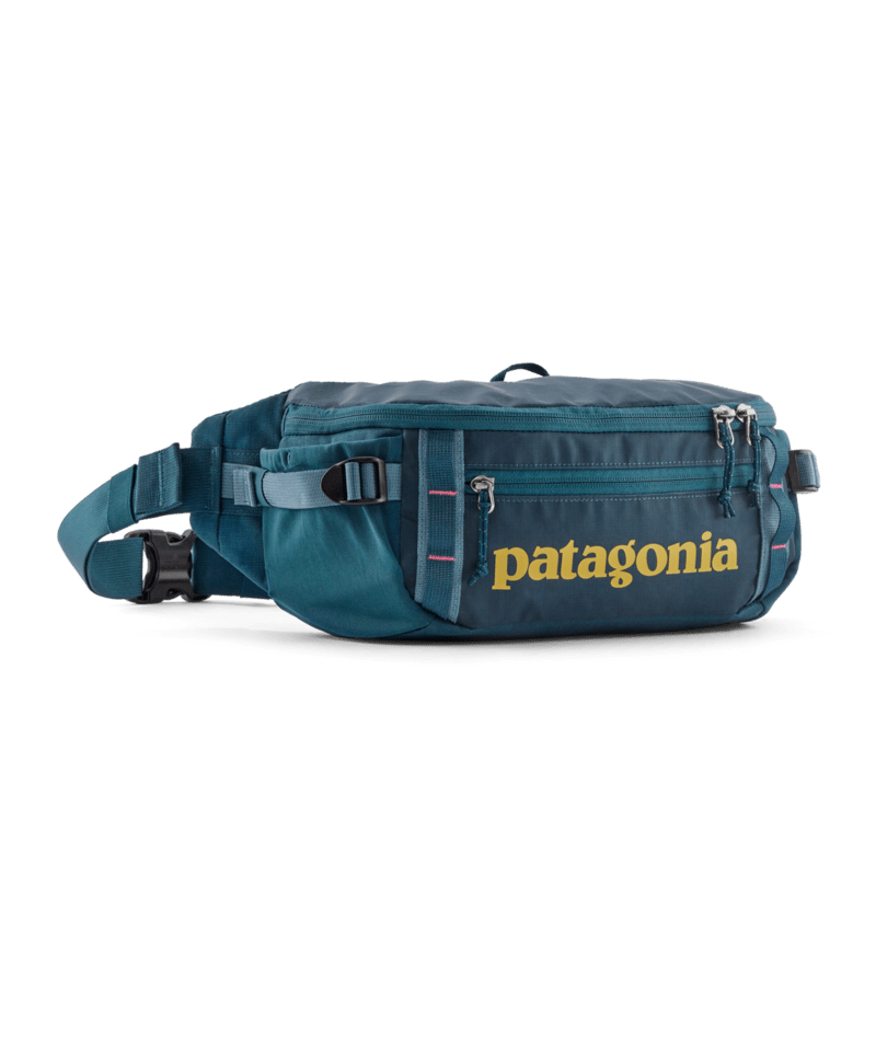 Patagonia Black Hole Waist Pack 5L – Half-Moon Outfitters