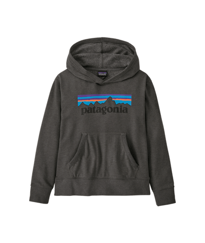 Patagonia Lightweight Graphic Hoody Sweatshirt for Kids P-6 Logo: Forge Grey