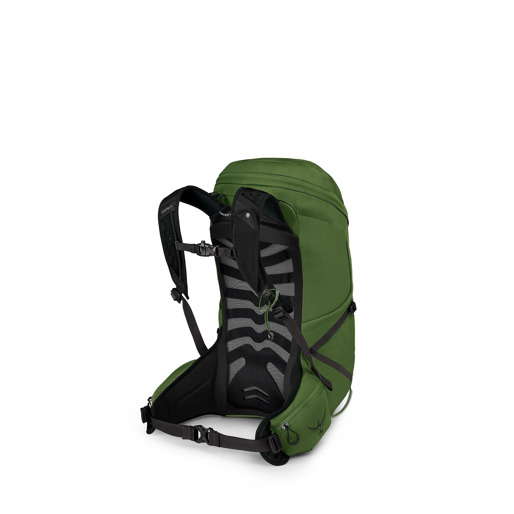 Osprey Talon 26 Green Belt / Black L/XL