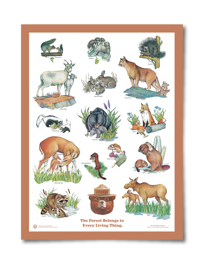 The Landmark Project Baby Animals Educational Poster